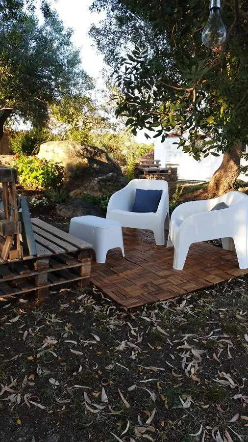 Nyaraló Casa Vacanze Olbia - Alebea - Olaszország