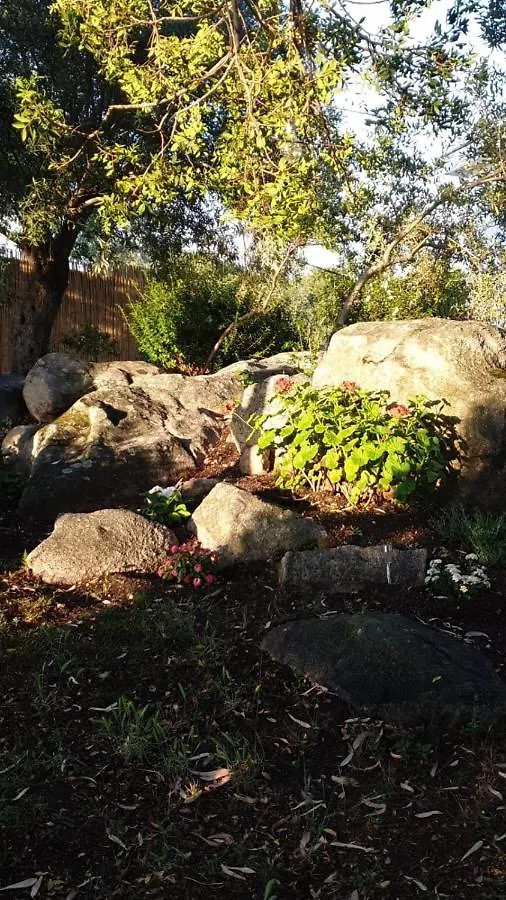 Casa vacanze Olbia - ALEBEA -