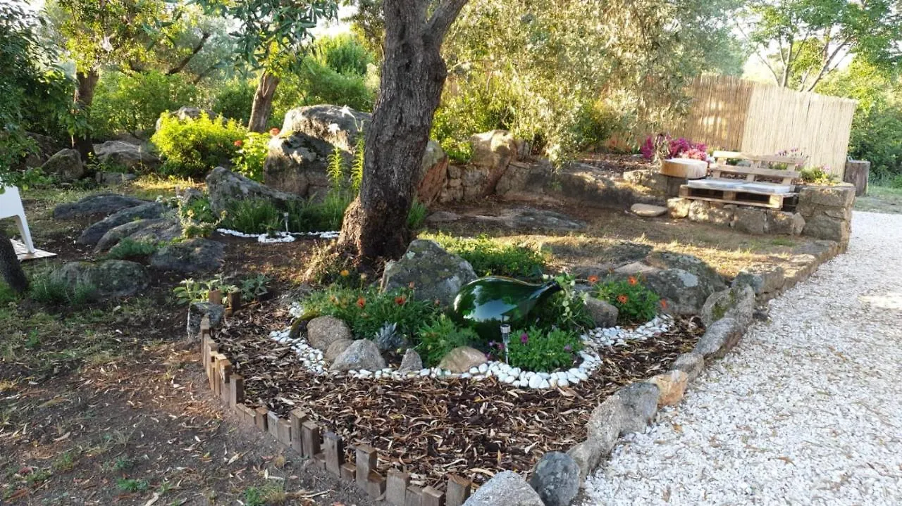 Casa vacanze Olbia - ALEBEA -