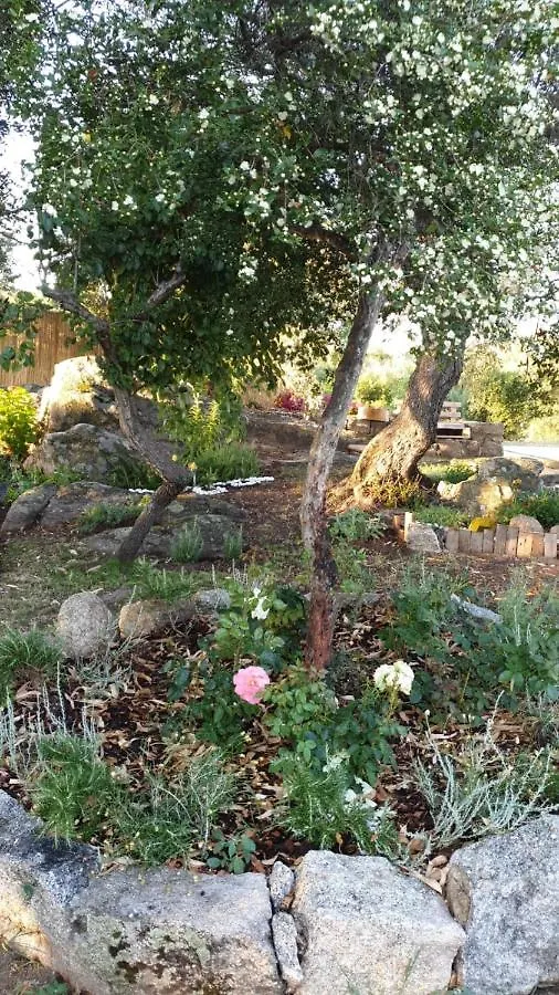 Casa vacanze Olbia - ALEBEA - 0*,