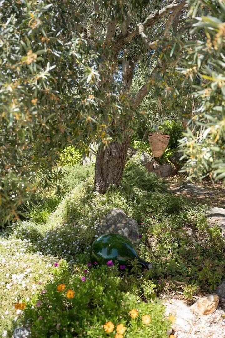 Casa vacanze Olbia - ALEBEA -