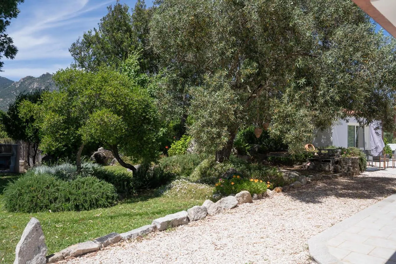 Casa vacanze Olbia - ALEBEA -