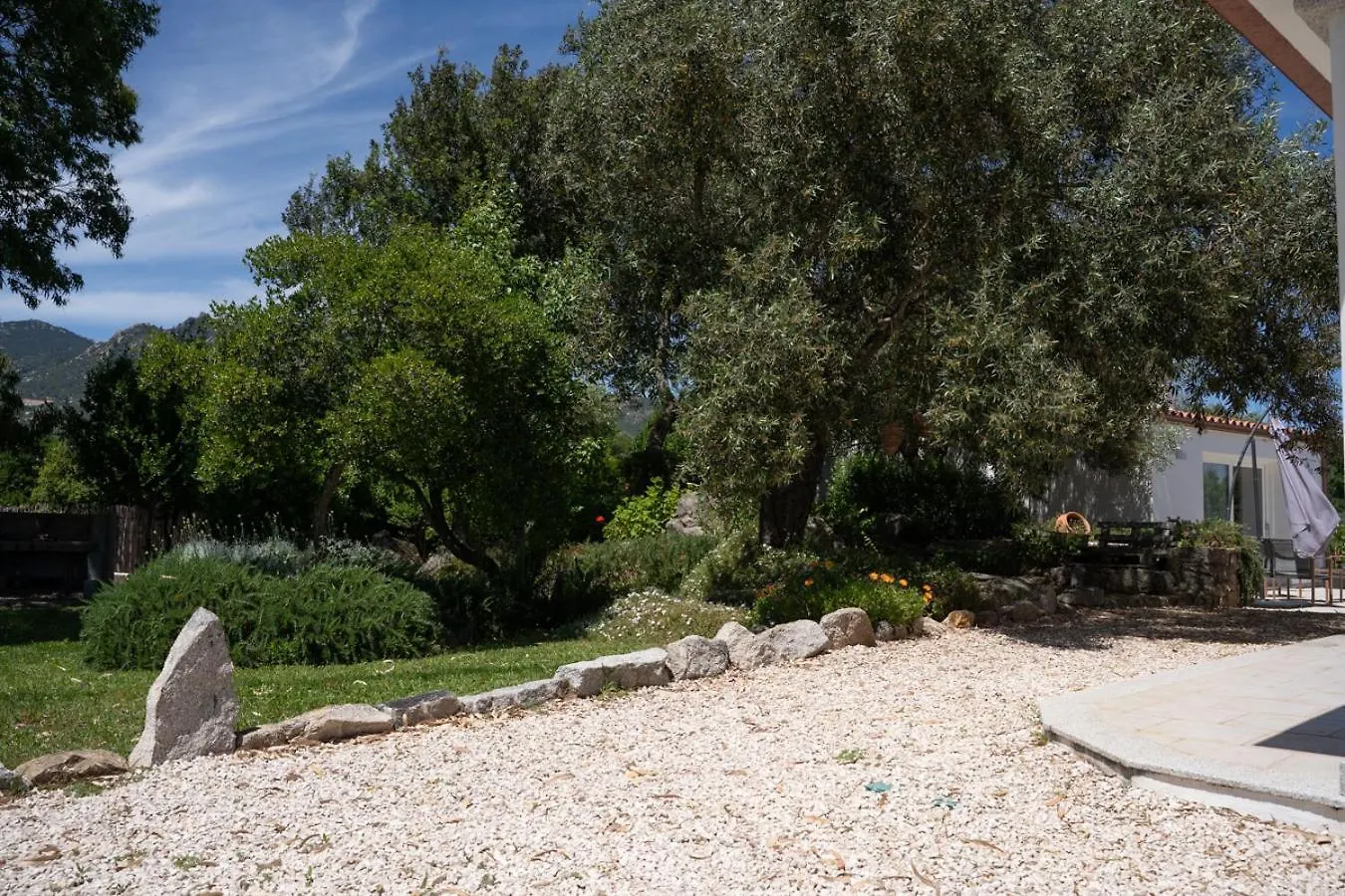 Casa vacanze Olbia - ALEBEA - Italia