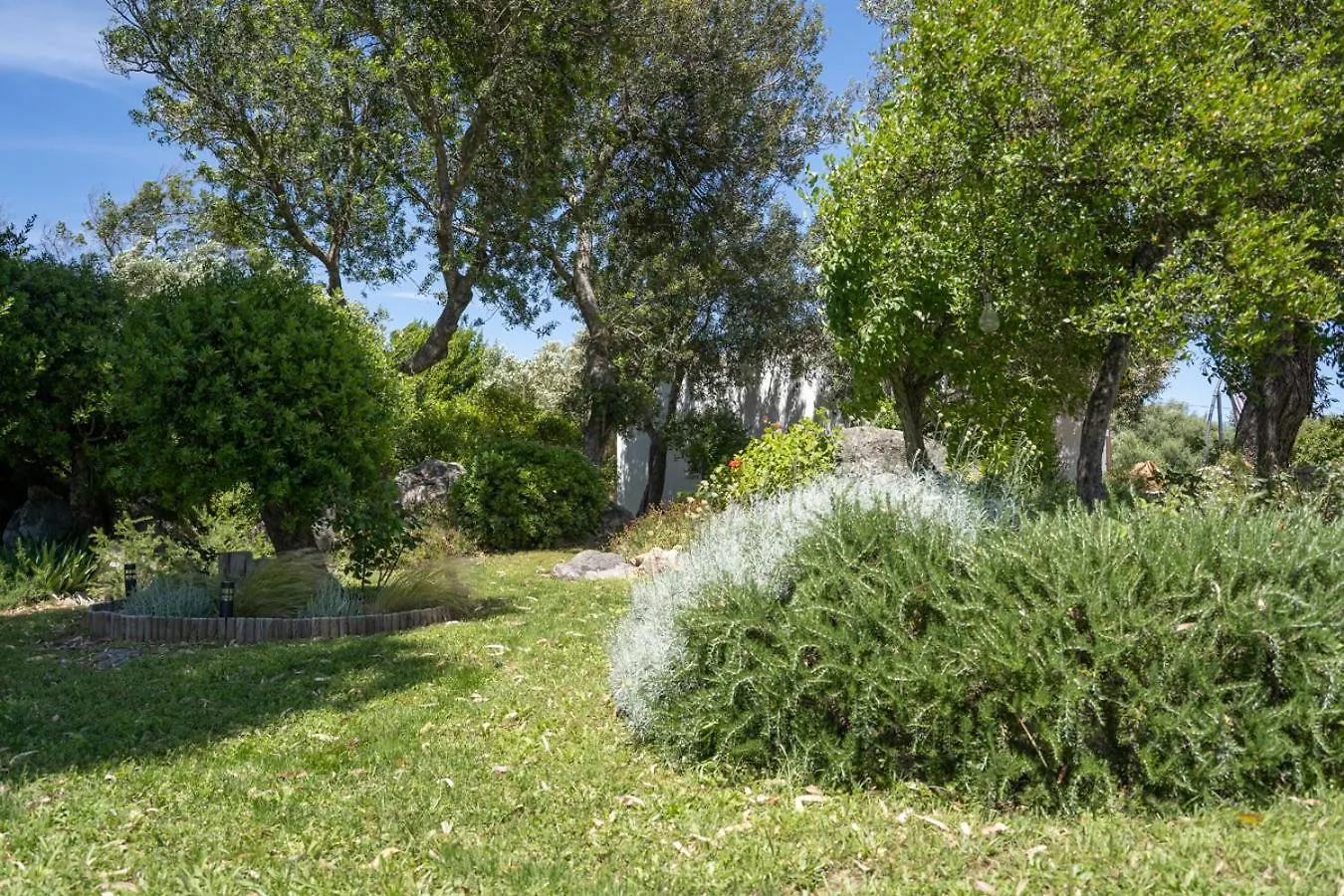Casa vacanze Olbia - ALEBEA -